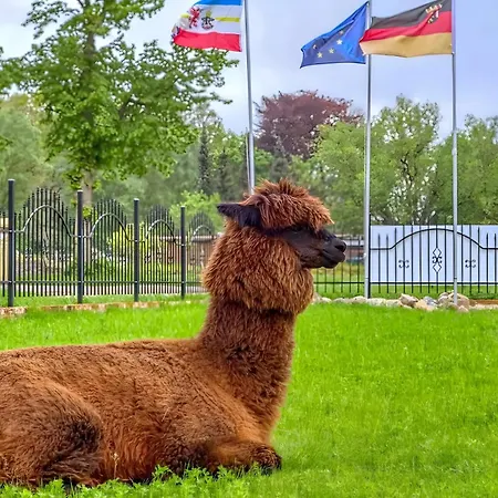 Familienfreundliche Alpakafarm Apartment *