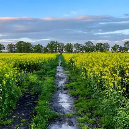 Familienfreundliche Alpakafarm
